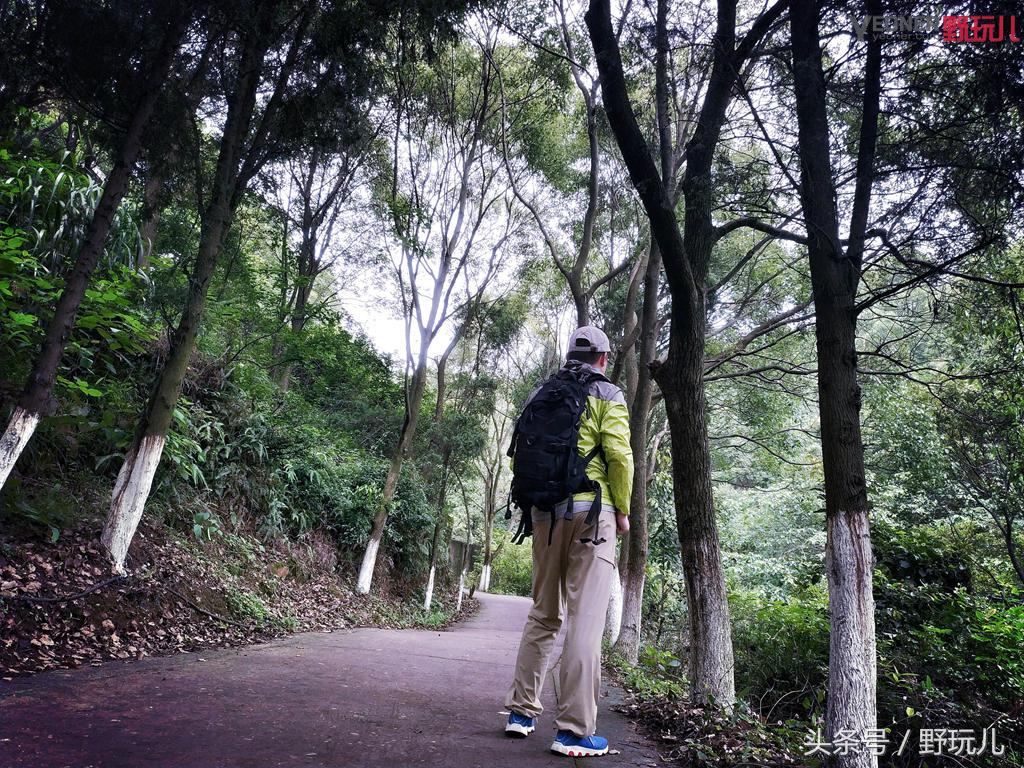 迪卡侬防晒衣测评推荐,轻薄防晒衣夏季出行无惧阳光