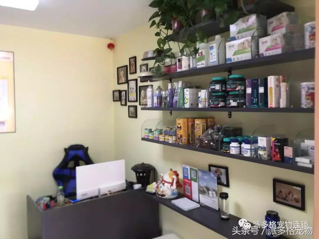 派多格宠物店卖什么,派多格宠物店资质
