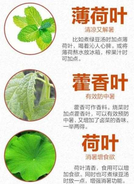 今日入伏三伏天,三伏天七月十一日入伏