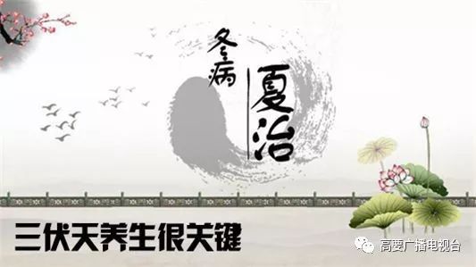 现在离入伏有多少天,小贴士今日入伏持续整整40天