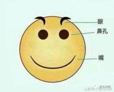 在人体上捏出等边直角三角形？现在的不科学网文真是要笑死我