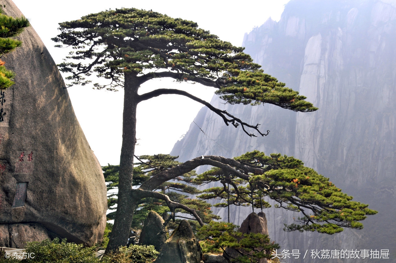 黄山十大绝美古诗徐霞客,漫游黄山仙境七言绝句