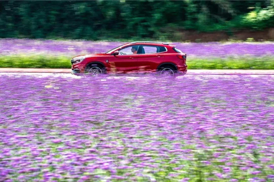 试驾陆风逍遥,性能超越方显逍遥本色