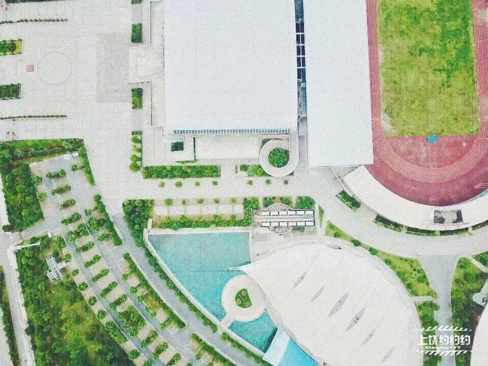 三伏天室内游泳,夏天游泳馆必备