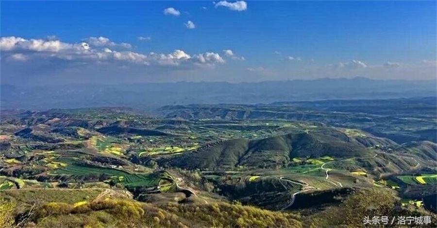 花开千朵各表一枝什么意思,花开两朵，各表一枝