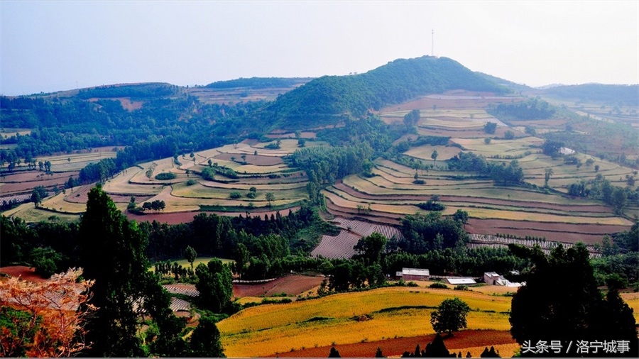 花开千朵各表一枝什么意思,花开两朵，各表一枝