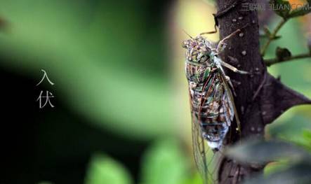 一封来自我市招商的邀请函,微商创业峰会