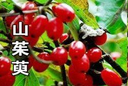 几种常见药不能混着吃,十种不能同服的药物