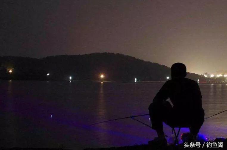 夜钓10个好处,不是你技术差,而是错过了上鱼高峰期!