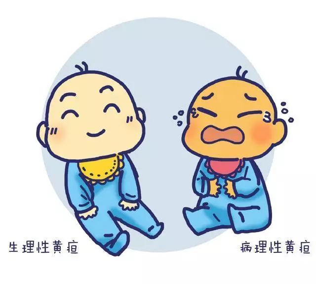 新生儿黄疸19.9,黄疸小黄人