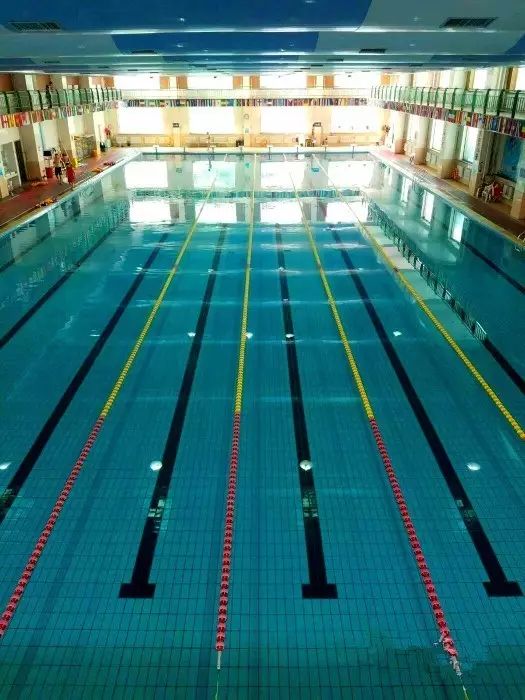 长春适合去的游泳馆,清凉一夏泳池