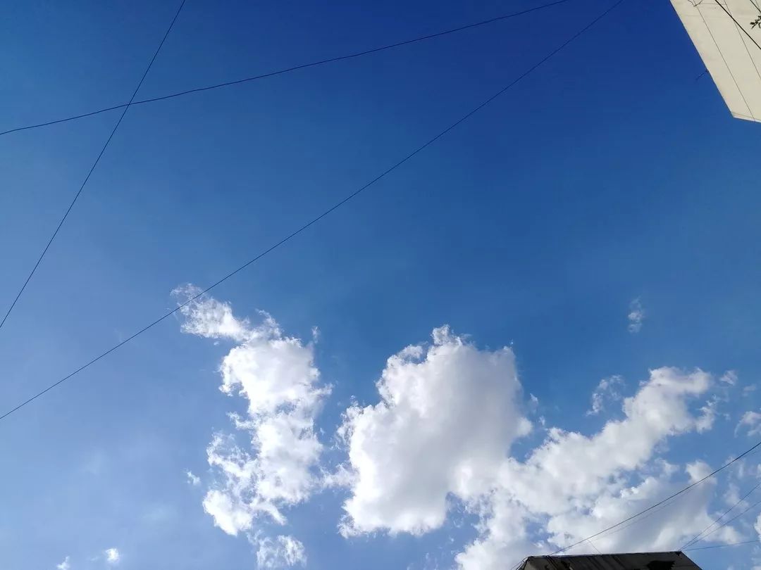 多方努力，为了更美好的天空｜绿行齐鲁6月月报