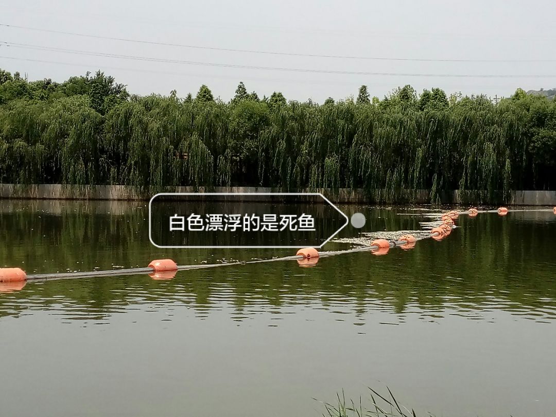 多方努力，为了更美好的天空｜绿行齐鲁6月月报