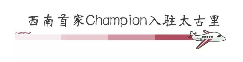 champion成都国金,champion中国店