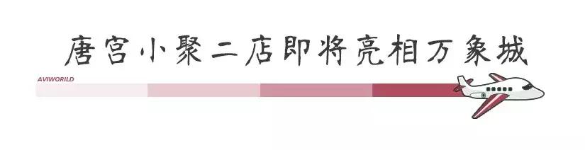 champion成都国金,champion中国店