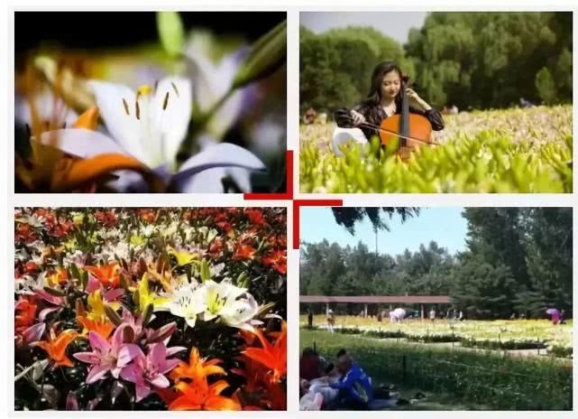 沈阳免费公园儿童乐园,沈阳免费公园适合孩子玩