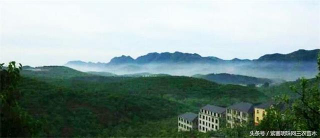 天津蓟州适合住一周的农家院,天津市蓟州区青山陌农家院