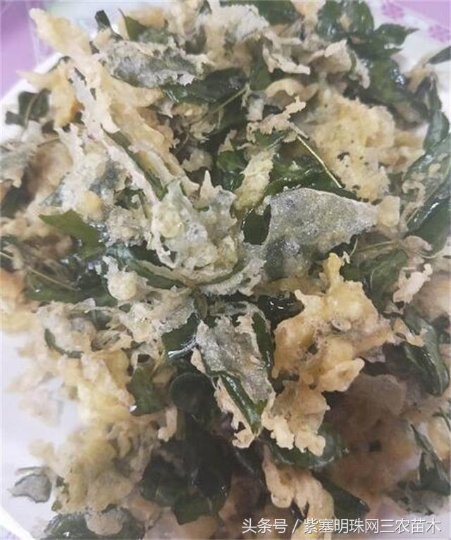 天津蓟州适合住一周的农家院,天津市蓟州区青山陌农家院