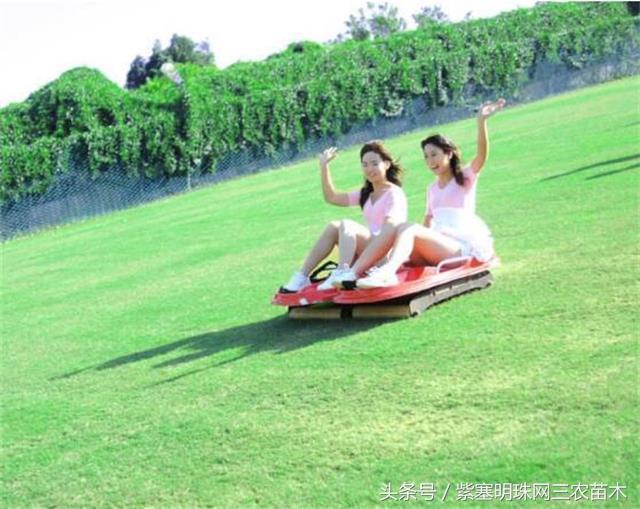 天津蓟州适合住一周的农家院,天津市蓟州区青山陌农家院