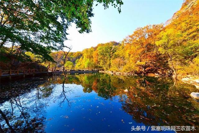 天津蓟州适合住一周的农家院,天津市蓟州区青山陌农家院