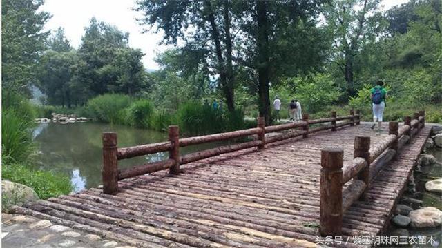 天津蓟州适合住一周的农家院,天津市蓟州区青山陌农家院