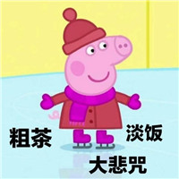 佩奇表情包可爱猪,关于小猪佩奇的沙雕表情包