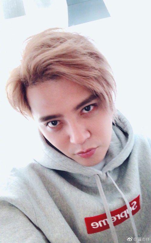 王祖蓝投资tvb,王祖蓝代言费是多少