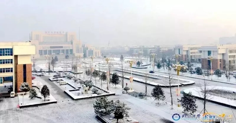 临沂大学排名前十的专业,临沂10所大学排名