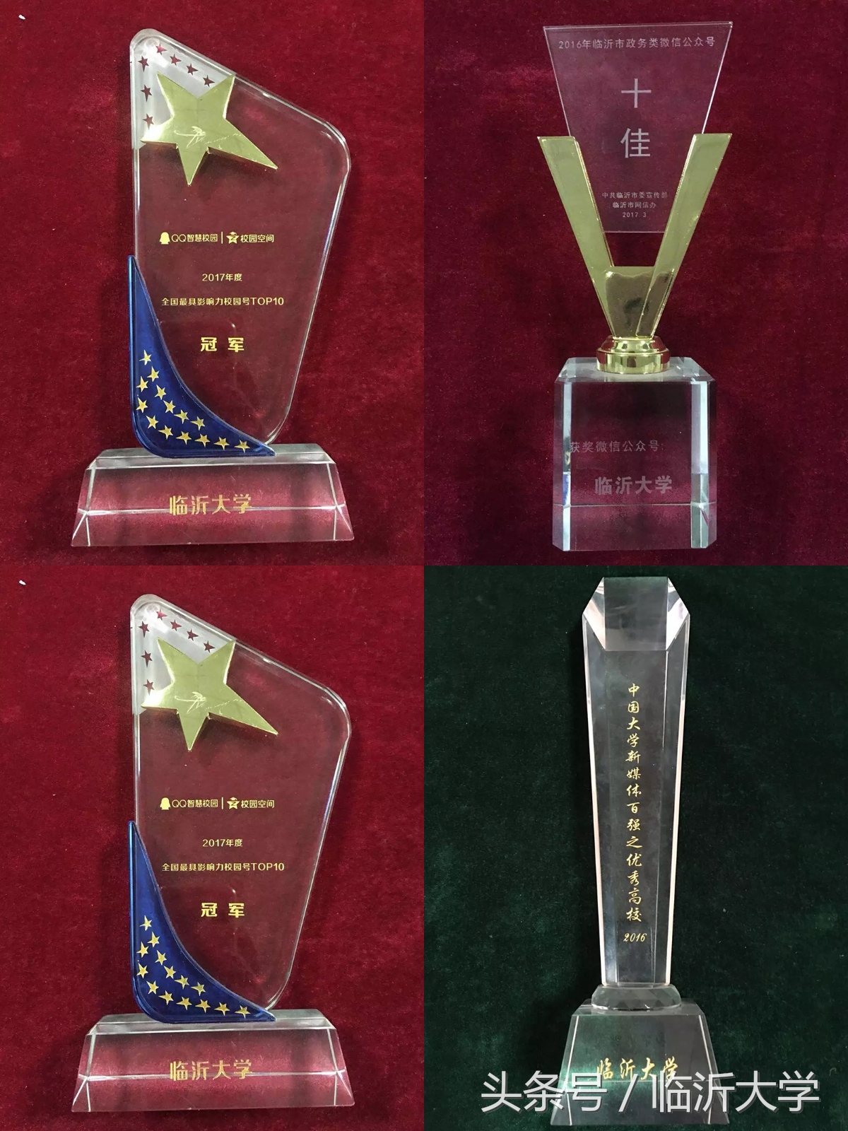 临沂大学排名前十的专业,临沂10所大学排名