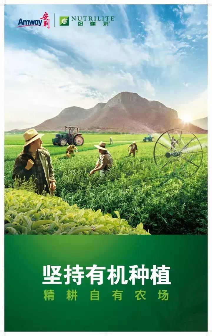 安利纽崔莱生产车间,安利纽崔莱好做吗