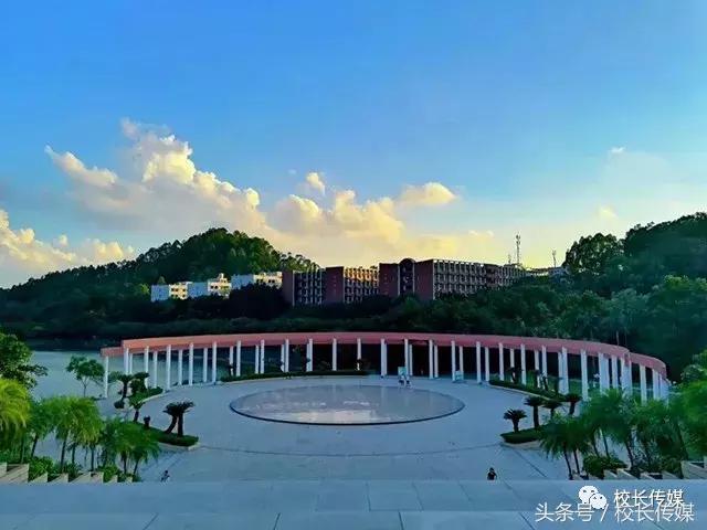 看世界杯决赛的过程,看世界杯决赛感受