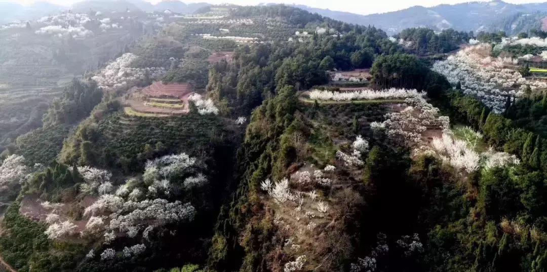 长寿山风景区美食,麻阳县长寿之乡