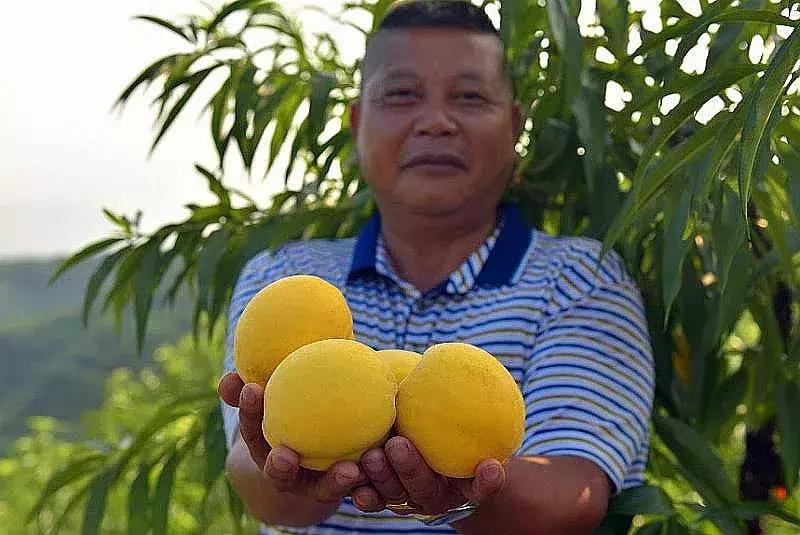 长寿山风景区美食,麻阳县长寿之乡