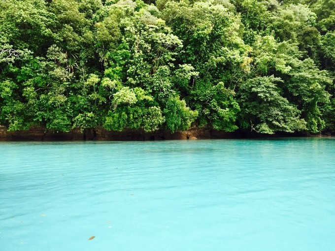 帕劳一日游攻略,帕劳不一样的攻略