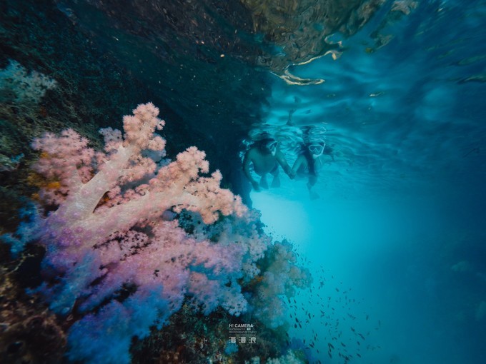 帕劳一日游攻略,帕劳不一样的攻略