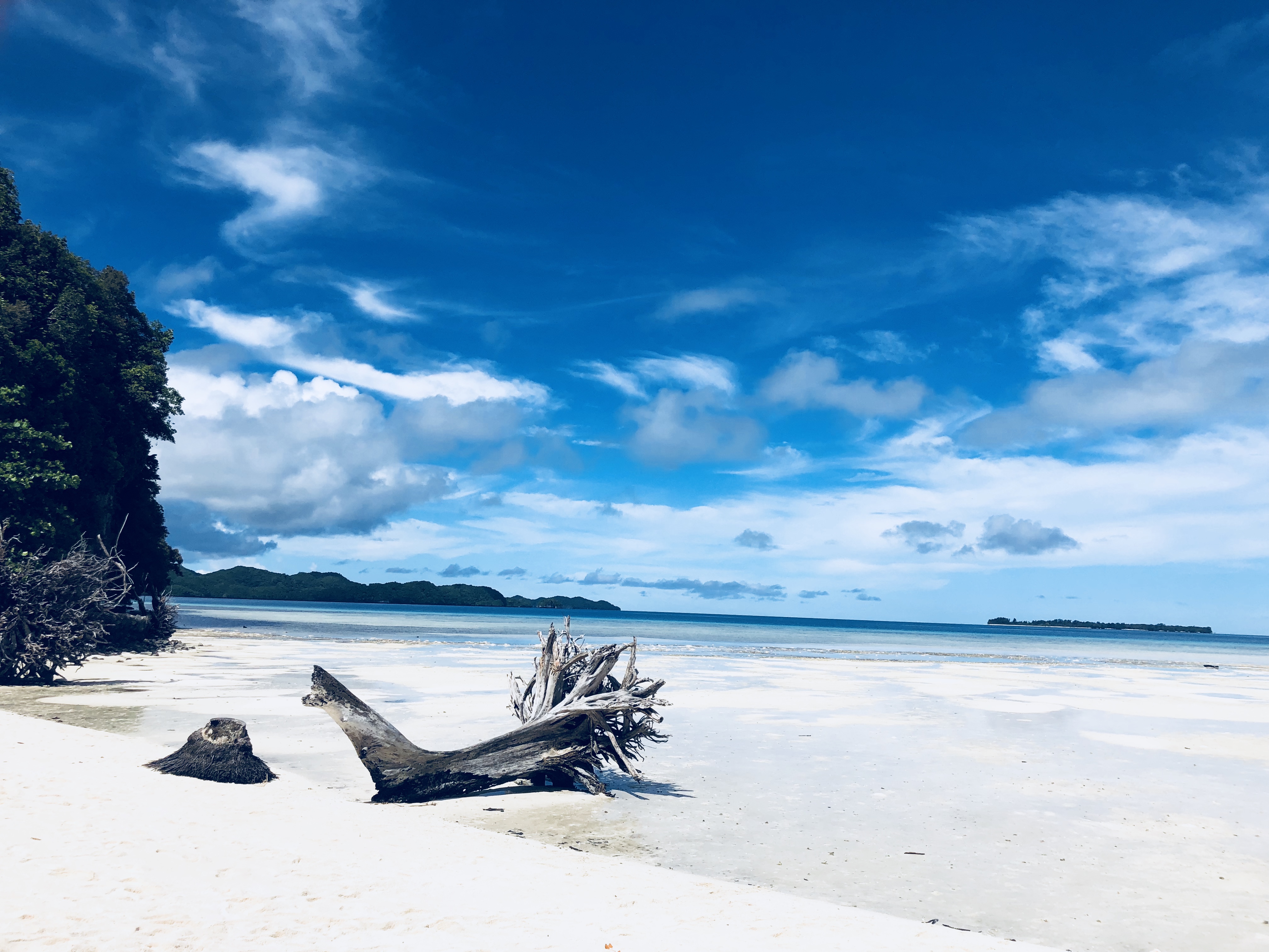 帕劳一日游攻略,帕劳不一样的攻略