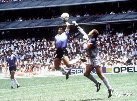 男朋友比Supreme、NIKE还要厉害，你们买的这只豹子怎会不火？