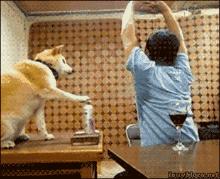 以色列美容黑科技,以色列治疗糖尿病黑科技