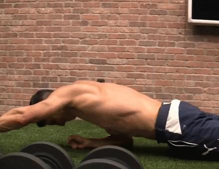 哑铃新手练胸练腹练手臂,哑铃真的可以练肱二头肌吗