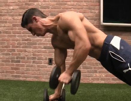 哑铃新手练胸练腹练手臂,哑铃真的可以练肱二头肌吗