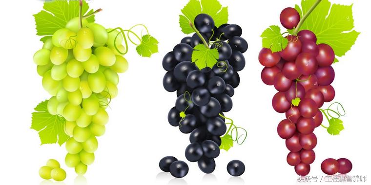 葡萄精华,葡萄的精华