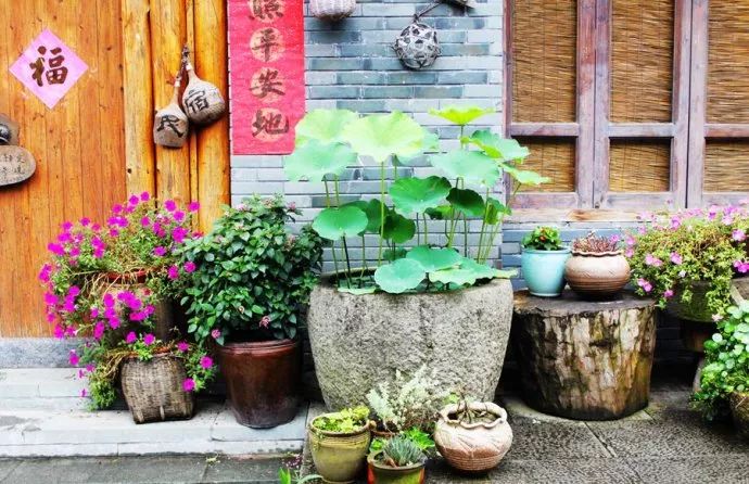 古堰画乡如诗如画,古堰画乡最是诗情画意的地方