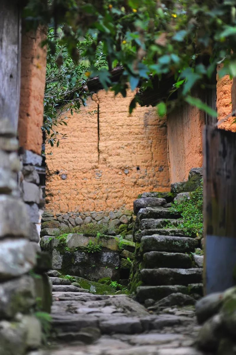 古堰画乡如诗如画,古堰画乡最是诗情画意的地方