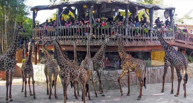 最适合暑假去的游乐场而且便宜,暑假带孩子去的游乐园推荐