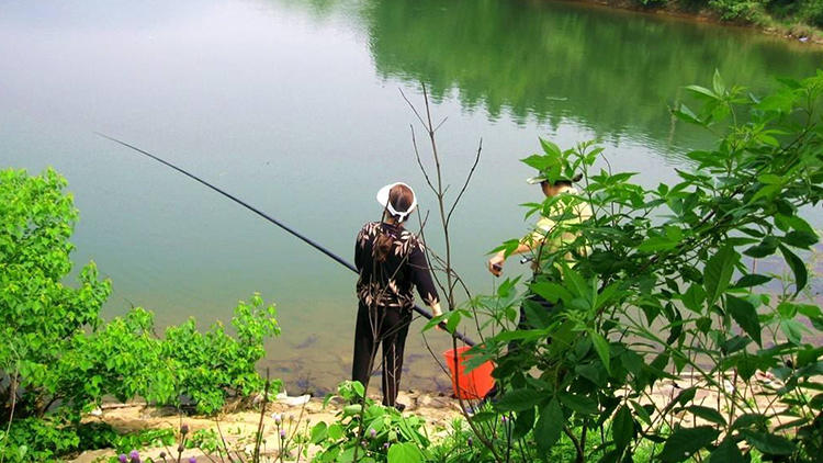 新手怎么挑选手竿,新手如何选择钓竿