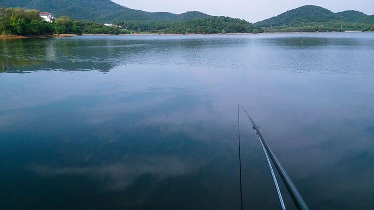 新手怎么挑选手竿,新手如何选择钓竿
