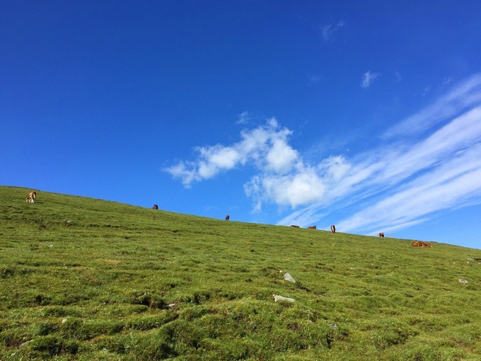 五台山最新旅游信息,五台山旅游攻略最详细