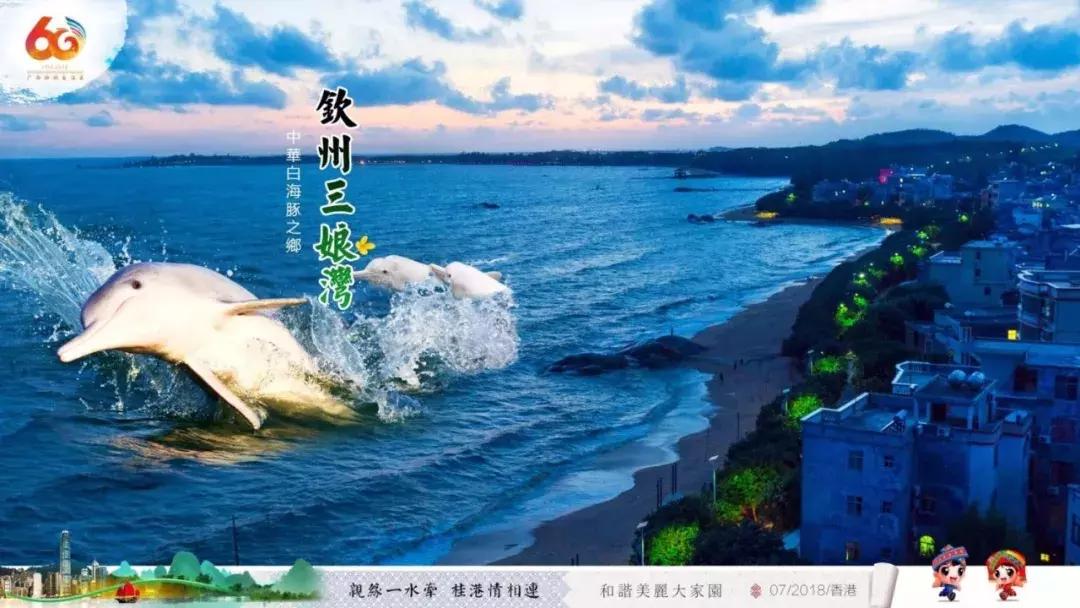 广西代表团来到深圳,广西代表团赴港澳行