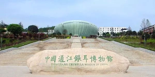 慈禧太后的养女是谁,慈禧太后的养生秘籍