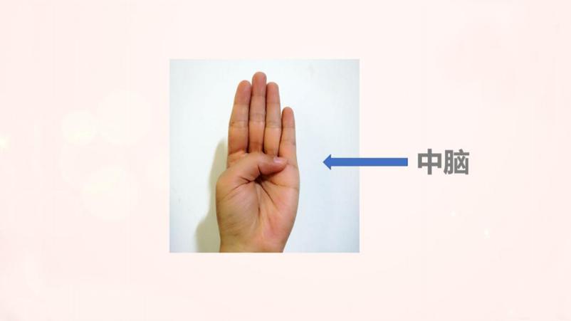 孩子生气、摔东西、哭闹,你知道如何引导他的情绪吗?